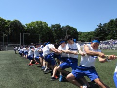 多摩大学目黑高等学校体育祭