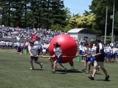 多摩大学目黑高等学校体育祭