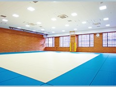 日本大学丰山高等学校设施 