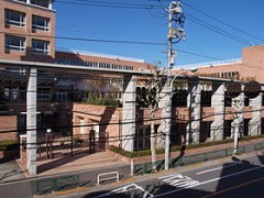 富士见丘高等学校活动 