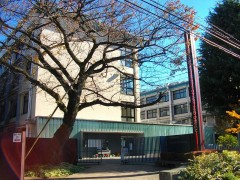 女子美术大学附属高等学校相册