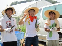 正则高等学校相册