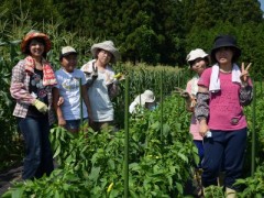 正则高等学校相册