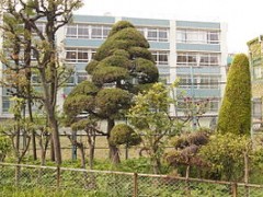 成女高中上课风景