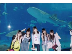 立川女子高等学校相册