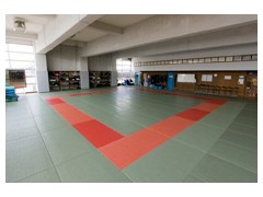 日本体育大学荏原高等学校设施