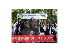 华顶女子高校相册