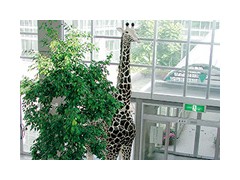 京都艺术高等学校相册