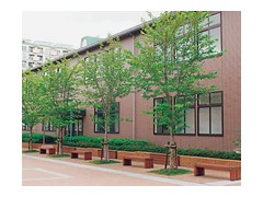 京都外大西高等学校设施介绍 
