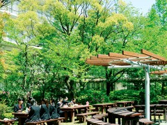 梅花高等学校学校设施