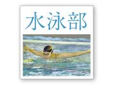 四条畷学园高校相册