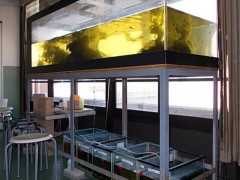 清风高等学校设施