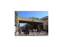 大阪国际大和田高等学校活动 