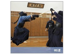 大阪商业大学堺高校相册