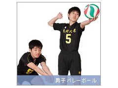 大阪商业大学堺高校相册
