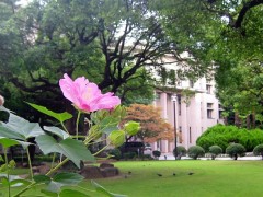 大阪女学院高等学校风光 