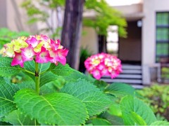 大阪女学院高等学校风光 