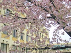 大阪女学院高等学校风光 