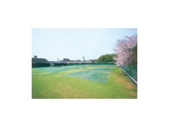 大阪学院大学高校相册