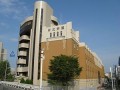 好文女子学园高校活动介绍 (19)