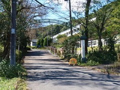 圣保罗学园高中相册 