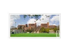 大阪国际龙井高校 学校相册