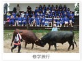 蓝野高等学校