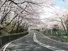 四天王寺羽曳丘高等学校设施