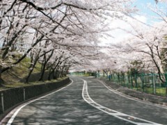 四天王寺羽曳丘高等学校设施