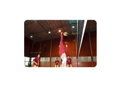 纯真高等学校 学生活动