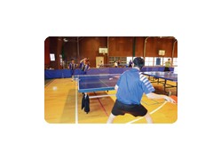 纯真高等学校 学生活动
