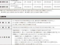 纯真高等学校招生要项 