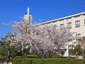 福冈海星女子学院高校