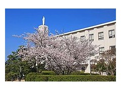 福冈海星女子学院高校 校园一角