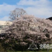 京都府立峰山高等学校弥栄分校