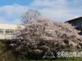 京都府立峰山高等学校