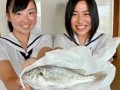 高中棒球赛战局正酣 天降一鱼中断比赛!?