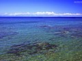 日本列岛持续高温 北海道局部出现强降雨