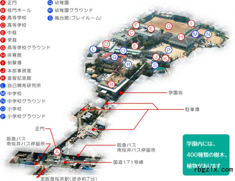 基面自由学园高中