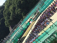 云雀丘学园高等学校-高中女子软式网球部私立校大会