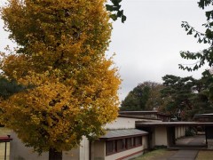 自由学园学校综合（1）