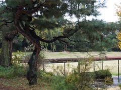 自由学园学校综合（1）