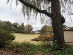 自由学园学校综合（1）