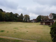 自由学园学校综合（1）