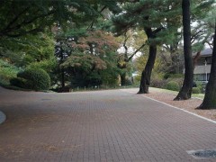 自由学园学校综合（1）