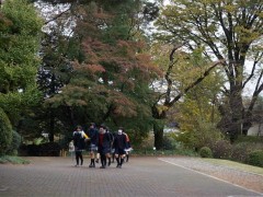 自由学园学校综合（1）