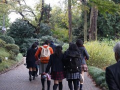 自由学园学校综合（1）