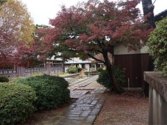 自由学园学校综合（1）