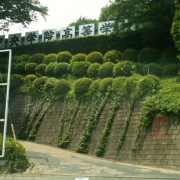 中央学院高校（中央学院高等学校）