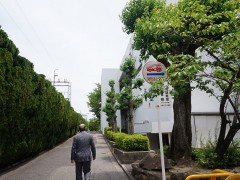 云雀丘学园高等学校校园道路一角